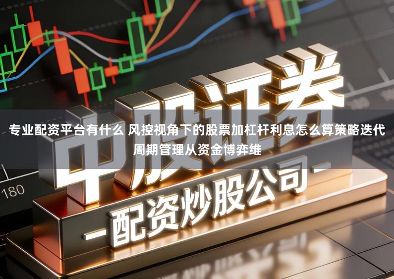 专业配资平台有什么 风控视角下的股票加杠杆利息怎么算策略迭代周期管理从资金博弈维