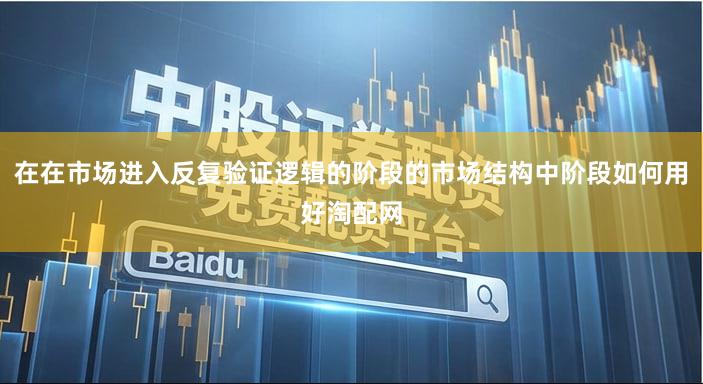 在在市场进入反复验证逻辑的阶段的市场结构中阶段如何用好淘配网