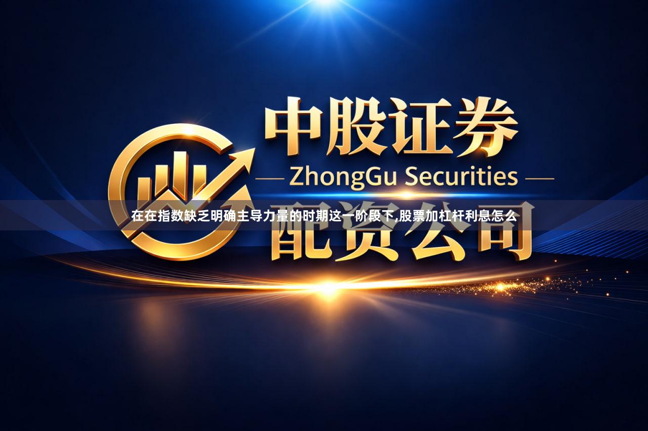 在在指数缺乏明确主导力量的时期这一阶段下,股票加杠杆利息怎么