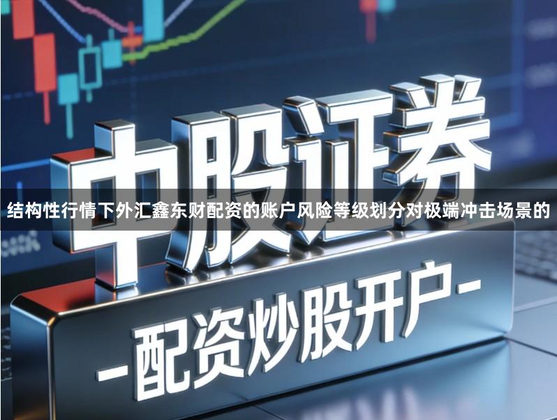 结构性行情下外汇鑫东财配资的账户风险等级划分对极端冲击场景的